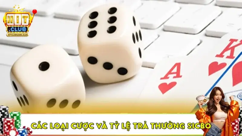 Các loại cược và tỷ lệ trả thưởng Sicbo